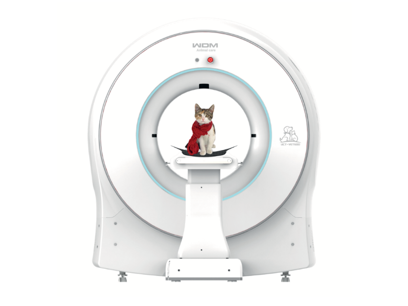 Untitled design (56)